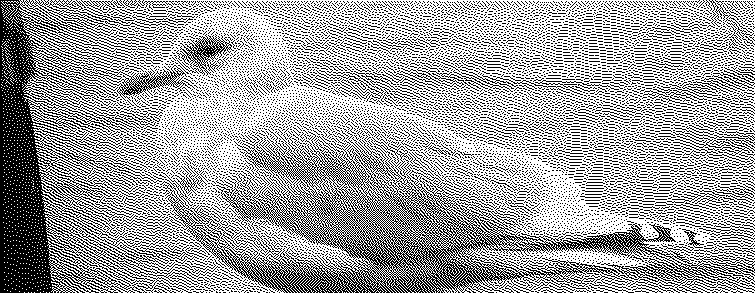 A dithered image of the Iceland Gull, cropped so only the middle part of the bird is visible