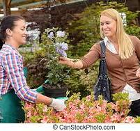 Garden center worker selling potted flower